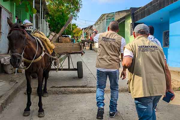 Funcionarios de la Secretaría de desarrollo Rural y Agropecuario de Sincelejo realizando el proceso de caracterización a los Vehículos de tracción animal.