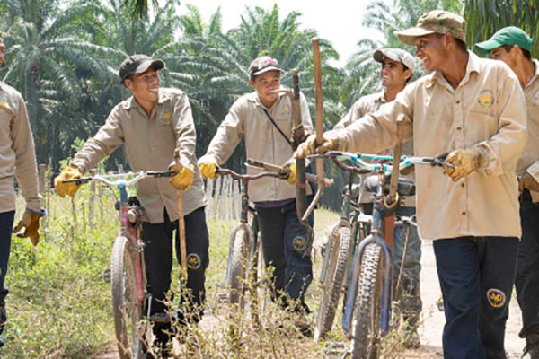 Cultivadores de Palma que trabajan para la empresa Fedepalma en referencia a los hechos violentos ocurridos en cesar contra las instalaciones de Palmagro. 