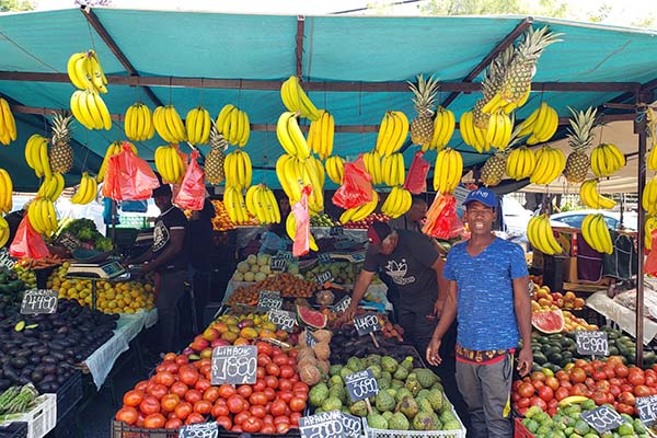 Fotografía de un puesto de frutas y verduras en Santiago, Chile. Con una productividad estancada hace más de una década y un desempleo que bordea el 8 %, la economía chilena se ha instalado, junto con la seguridad, como uno de los ejes centrales de la campaña presidencial, en una conversación que no solo gira en torno a inversión y gasto público, sino también a los obstáculos que frenan el desarrollo. (Foto EFE/ Elvis González) Fotografía de un puesto de frutas y verduras en Santiago, Chile. Con una productividad estancada hace más de una década y un desempleo que bordea el 8 %, la economía chilena se ha instalado, junto con la seguridad, como uno de los ejes centrales de la campaña presidencial, en una conversación que no solo gira en torno a inversión y gasto público, sino también a los obstáculos que frenan el desarrollo. (Foto EFE/ Elvis González)
