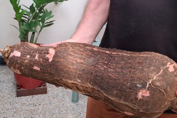 Foto derechos reservados /EL INFORMADOR