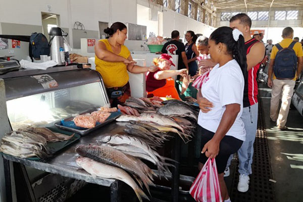  Bandejas de pescado fresco exhibidas en la Plaza,  donde la cojinúa y otras especies se convierten en protagonistas de las compras navideñas en Santa Marta. Foto Derechos Reservados EL INFORMADOR