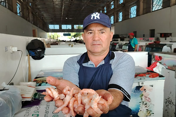 Julio César Quesada, comerciante de la Plaza de Pescados y Mariscos, muestra el camarón fresco, uno de los productos más buscados por los samarios en esta temporada decembrina. Foto Derechos Reservados ELINFORMADOR