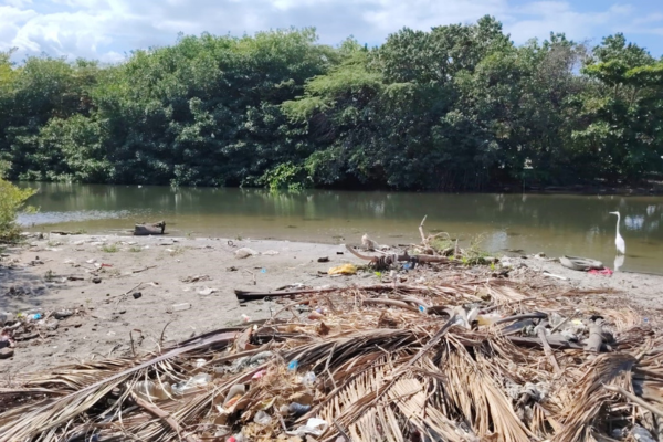 Foto derechos reservados / EL INFORMADOR