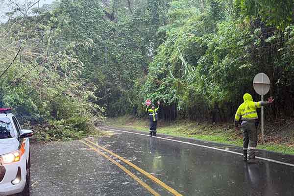 Miembros de la Policía de carreteras haciendo presencia en uno de los puntos de derrumbe de árboles para evitar el paso de vehículos. Foto redes sociales