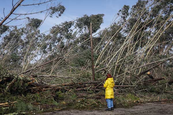 Portugal se encuentra bajo los efectos del paso de la borrasca Kristin, con lluvia, viento y nieve, lo que ha provocado la emisión de diversos avisos por parte de las autoridades. EFE/António Pedro Santos