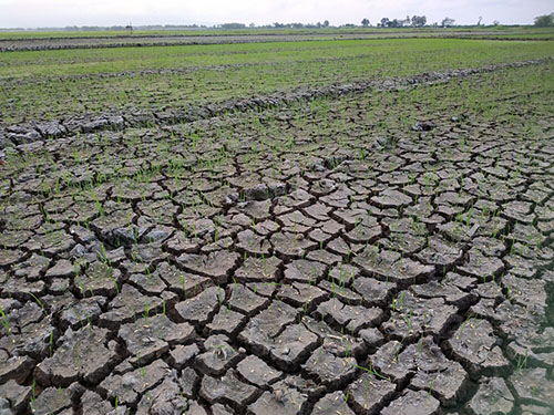 They Predict Return Of The El Niño Phenomenon In December - Breaking 