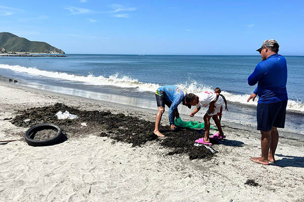 La labor de estos no solo beneficia a sus familias, sino que impacta positivamente a toda la comunidad y al turismo en Santa Marta. 
