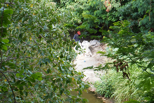  La extracción de arena a provocado sedimentación en el terrero que está cerca al río Manzanares, afectando los ecosistemas que habitan en este sector de la Quinta de San Pedro Alejandrino. 