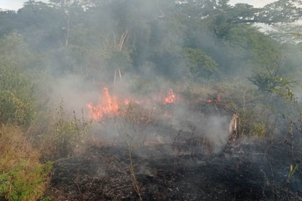 Muchos pobladores de Albania fueron presa del miedo al observar que llamas podrían afectar tubería de gas domiciliario. Foto cortesía de La Guajira Hoy