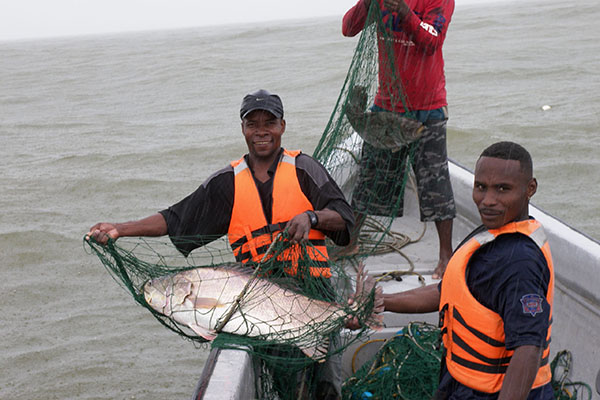 En Santa Marta y el departamento del Magdalena, la pesca no declarada y no registrada se ha vuelto un fenómeno recurrente. Foto Aunap En Santa Marta y el departamento del Magdalena, la pesca no declarada y no registrada se ha vuelto un fenómeno recurrente. Foto Aunap