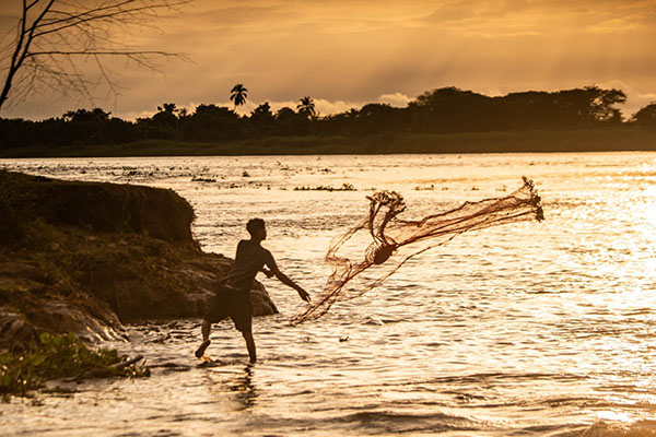 La pesca incidental, no declarada y no registrada, representa un riesgo crítico para la sostenibilidad de los recursos marinos, al generar sobreexplotación, pérdida de biodiversidad y debilitamiento de las economías pesqueras locales. Foto Aunap