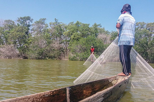 Las autoridades han identificado capturas sin reporte oficial, uso de artes no permitidas y afectaciones a especies que deberían ser liberadas o protegidas. Foto Invemar