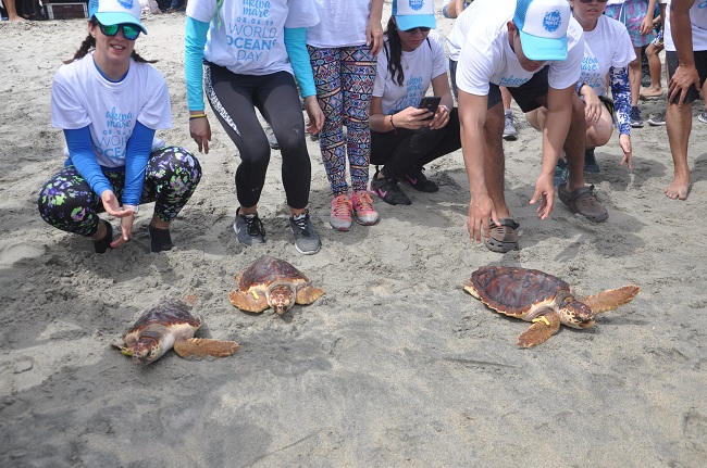 Liberación de tortugas en playa Lipe