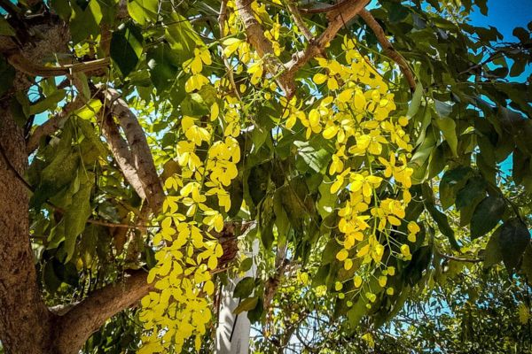 Fotografía tomada en la cra 20 de la calle 18