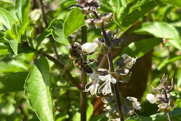 Foto: Derechos reservados/ELINFORMADOR