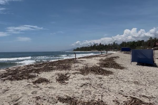 Foto: Derechos reservados/ELINFORMADOR