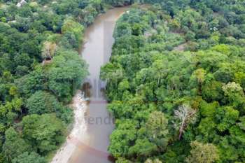 Un río, una selva, un destino mágico: así te da la bienvenida el Don Diego. Derechos Reservados/ELINFORMADOR