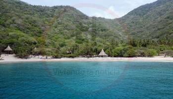 Playa Guachaquita (Wachakyta) es un lugar único en el Parque Nacional Natural Tayrona, ideal para quienes buscan desconectarse y disfrutar de un entorno natural, rodeado de aguas cristalinas y una atmósfera de completa tranquilidad.  Derechos Reservados/ELINFORMADOR