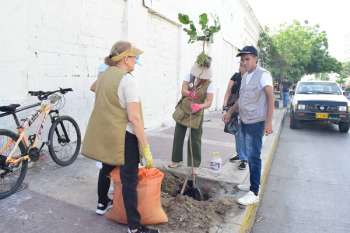Voluntariados de Clud de Jardineria y Vamos por Santa Marta durante la siembra de guayacanes en la Avenida Santa Rita (calle 22)