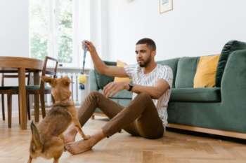 En Colombia, ciertas razas caninas son catalogadas como potencialmente peligrosas, entre ellas el Pitbull, Rottweiler, Dogo Argentino, Doberman y Bull Terrier. Foto Metrocuadrado 