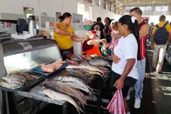  Bandejas de pescado fresco exhibidas en la Plaza,  donde la cojinúa y otras especies se convierten en protagonistas de las compras navideñas en Santa Marta. Foto Derechos Reservados EL INFORMADOR