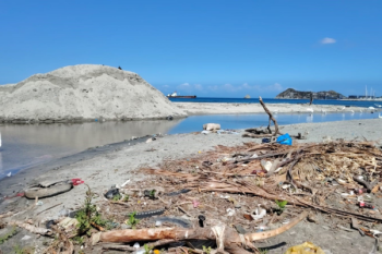 Foto derechos reservados / EL INFORMADOR