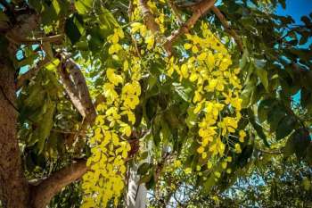 Fotografía tomada en la cra 20 de la calle 18