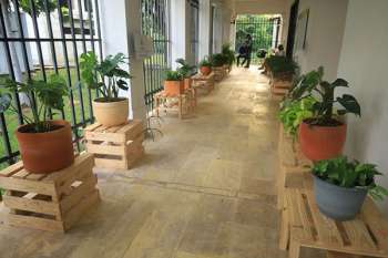 La 38ª Exposición Nacional de Flores con más de 140 muestras florales de todo el país. Foto derechos reservados / EL INFORMADOR 